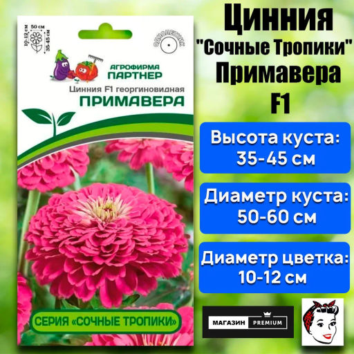 Цинния георгиновидная Сочные тропики Примавера - Партнер фото 2