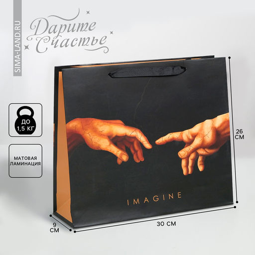 Цена за 2 шт. Пакет подарочный ламинированный, упаковка, Imagine, M 30×26×9 см