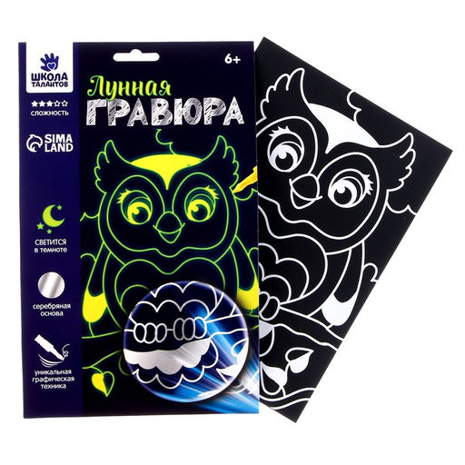 Набор для творчества: лунная гравюра и аппликация пайетками Сова - Школа талантов фото 7