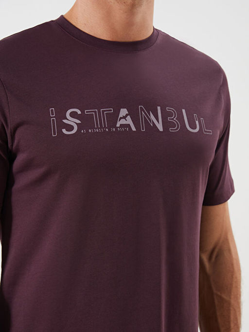 Bisiklet Yaka K?sa Kollu ?stanbul Bask?l? Penye Erkek Ti??rt