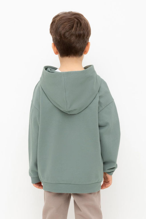 КР 302680/полынь джемпер (худи) для мал