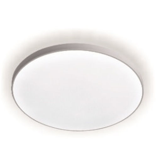 Светильник (потолочный)