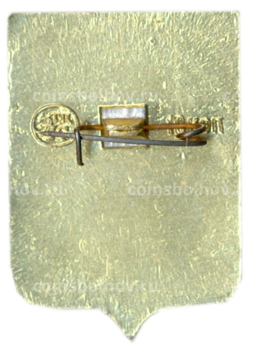 Значок Воронеж