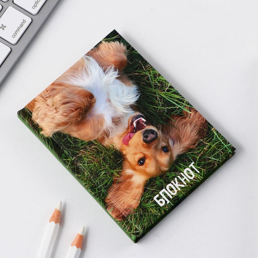 Блокноты в твердой обложке А7, 64 л Собака на траве - Artfox фото 2