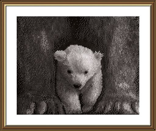 Набор для вышивания Нова Слобода СВ 4504 Сам ты белая ворона 26.6 х 20.8 см