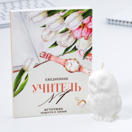 Подарочный набор, ежедневник А6, 120 л., фигурная свеча «Учителю, который вдохновляет»