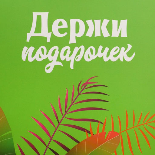 Пакет с формовым клапаном Львенок, 23 27 11.5 см - Дарите счастье фото 5