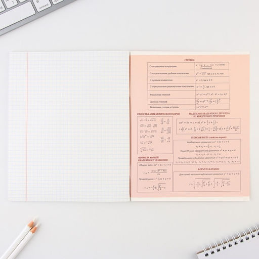 Предметная тетрадь, 48 листов, ГРАДИЕНТ, со справ. мат. Алгебра, обложка мелованный картон 230 гр., внутренний блок в клетку 80 гр., белизна 96%,блок №1 - Artfox study фото 4