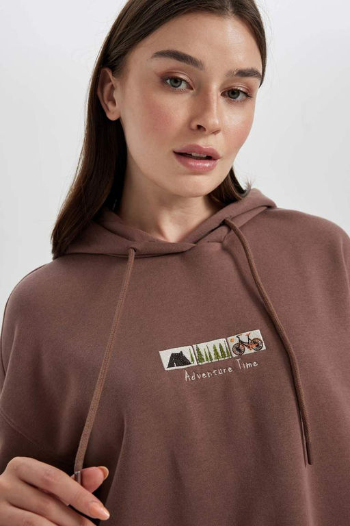 Плотный свитшот-туника с капюшоном и вышивкой обычного кроя - Defacto фото 4