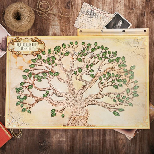 Родословная книга «Наш род», с пером, 56 листов, бордо, 35×25 см