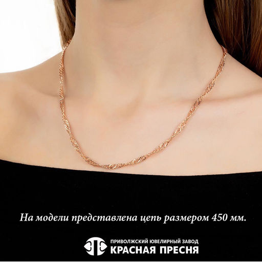 ЦЕПЬ МРДС6р - Красная пресня фото 2