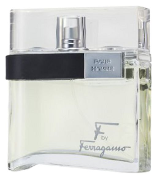 S. FERRAGAMO F BY FERRAGAMO m EDT 100 ml M, туалетная вода