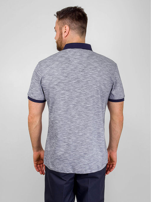 Джемпер мужской с воротником поло короткий рукав GREG G144-TG9836-3 (св.черный)  фото 5