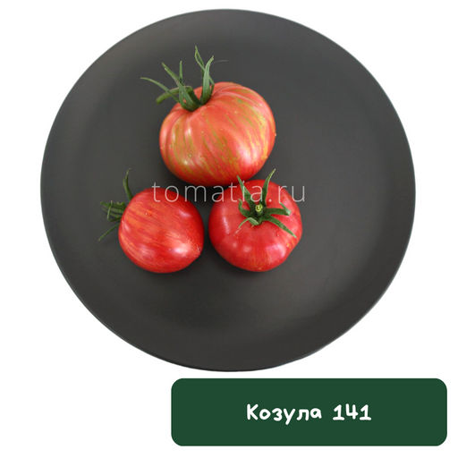 Козула 141 Плиссированное бычье сердце - Tomatia фото 2