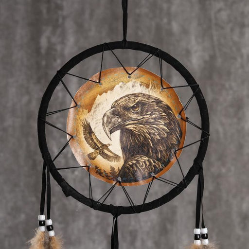 Ловец снов амулет «Орёл», 20×20 см