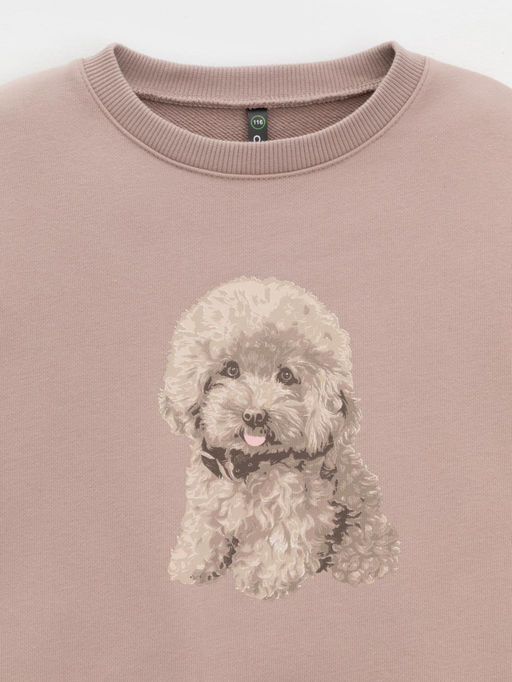 КР 302816/латте к625 джемпер (свитшот) для дев