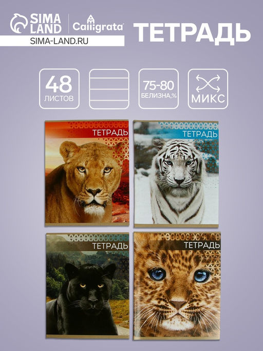 Цена за 10 шт. Тетрадь 48 листов в клетку, Calligrata Дикие кошки, МИКС