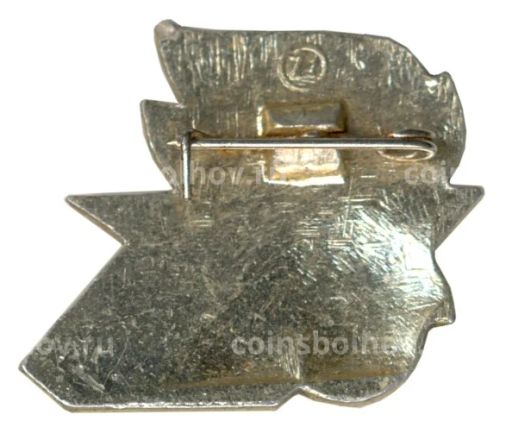 Значок Дружина юных пожарных