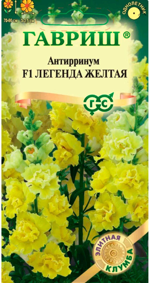 Антирринум (львиный зев) Легенда желтая F1 5шт. (Гавриш)
