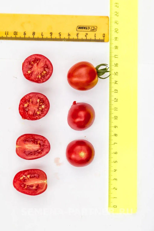Томат Черри Элизабет - Партнер фото 3