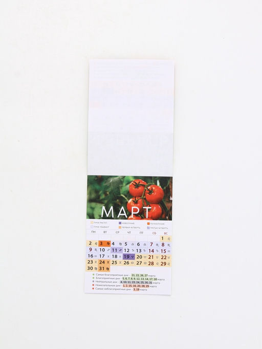 Цена за 2 шт. Календарь 2026 отрывной на магните «Садово-огородный», 9.5×13 см