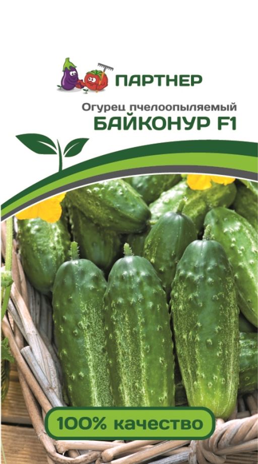 Огурец пчелоопыляемый Байконур