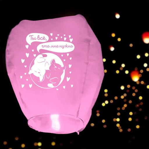 Фонарик желаний Ты всё, что мне нужно, котики, форма сердце, розовый - Страна карнавалия фото 2