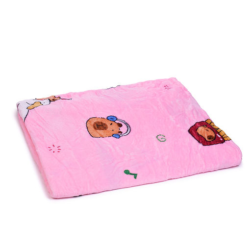 Мягкая игрушка "Капибара" с пледом