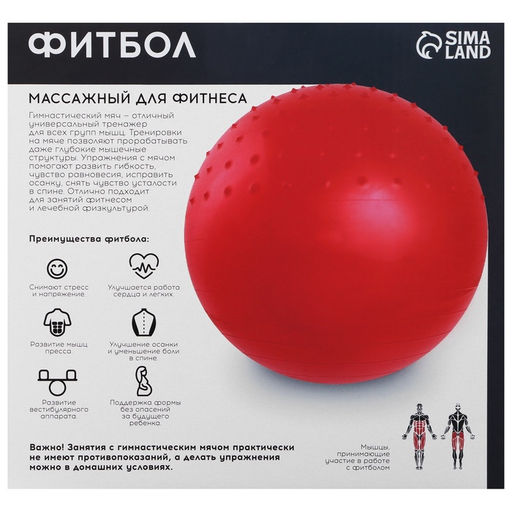 Фитбол ONLYTOP d=65 см, 1000 г, полумассажный, МИКС