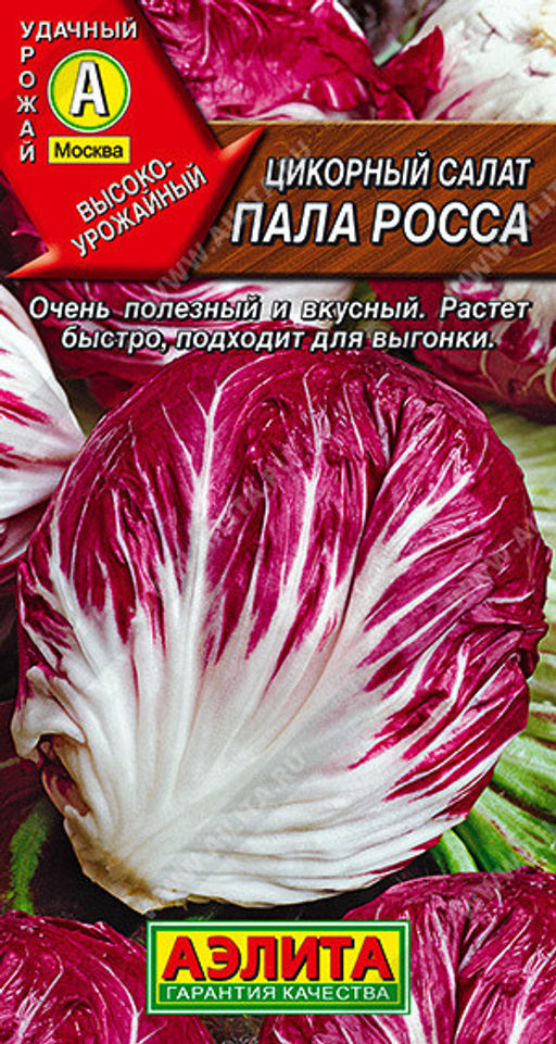 1081A Цикорный салат Пала Росса 0,5гр
