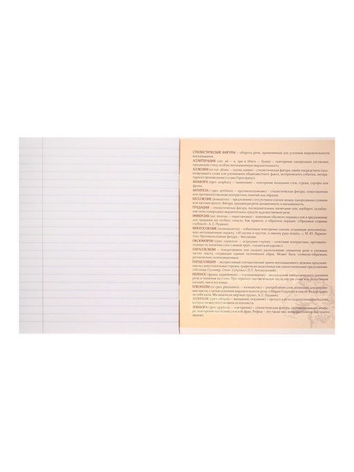 Тетрадь предметная Комикс Аниме 48 листов в линейку Литература, со справочным материалом, обложка мелованный картон, УФ-лак (полный), блок офсет - Calligrata фото 9