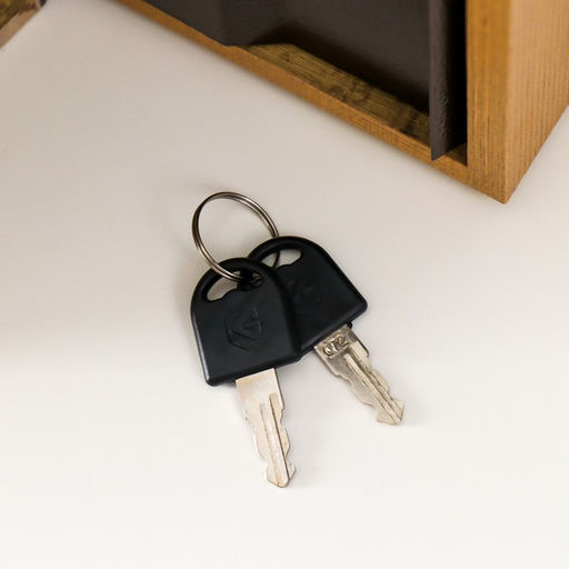 Шкатулка книга-сейф «Горе от ума», 21×13×5 см