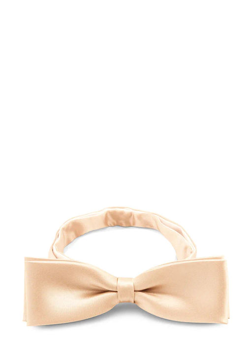 Галстук-бабочка мужской GREG Greg-poly 17-бежевый одн.1.103