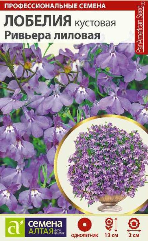 Лобелия Ривьера лиловая кустовая/Сем Алт/цп 8 шт.