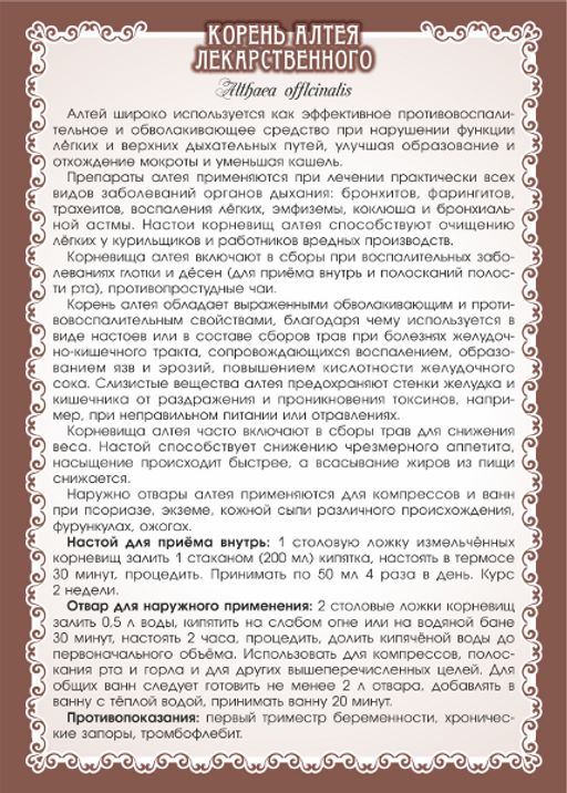 2 шт. Алтей (корень)