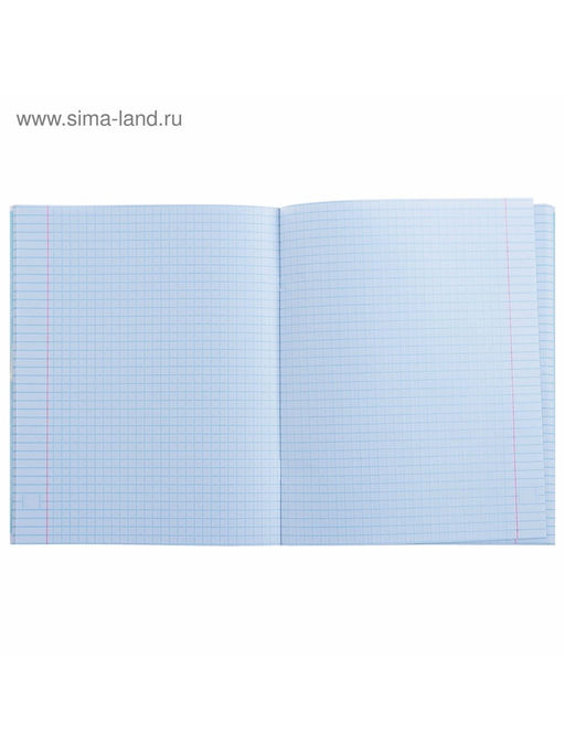 Тетрадь предметная Коллаж, 48 листов в клетку Физика со справочным материалом, обложка мелованный картон, блок офсет - Calligrata фото 6