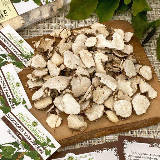 Диоскорея Кавказская (корень)