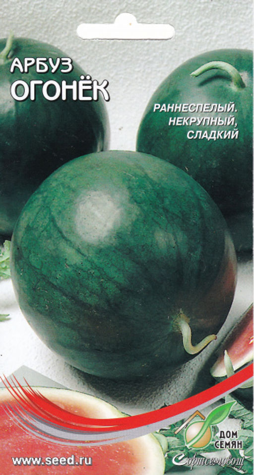 Арбуз Огонёк