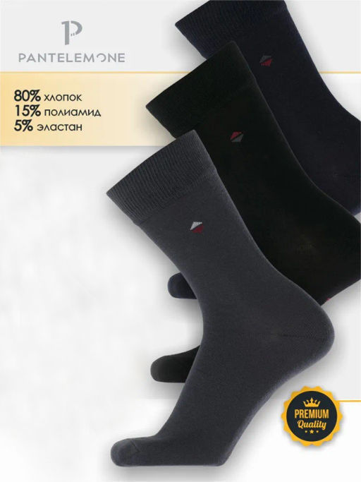 /10 пар. Мужские носки Classic PN-110