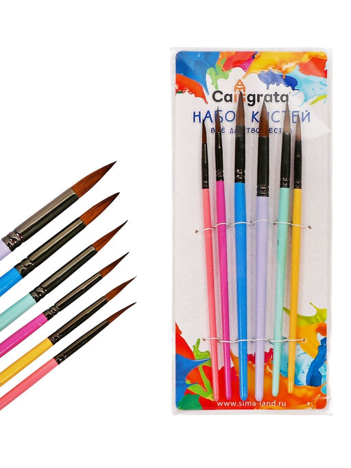 Набор кистей для рисования, пони, 6 штук: № 2, 4, 6, 8, 10, 12, круглые, с цветными ручками, пастель, международный размер