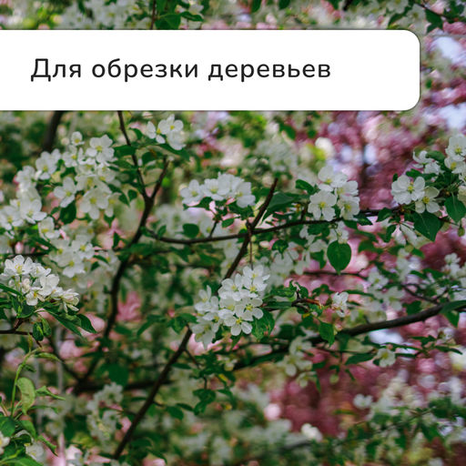 Сучкорез плоскостной, 14,6 (37 см), металлические ручки с поролоновыми накладками, Greengo  фото 5