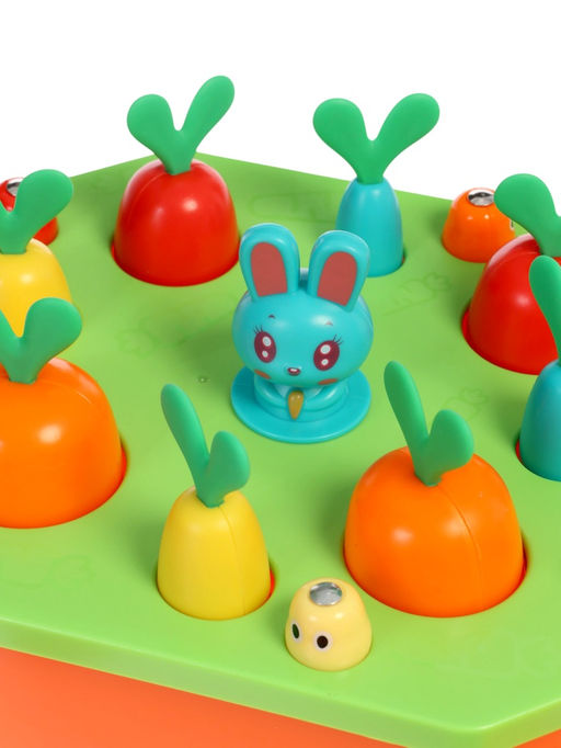 Развивающий сортер IQ-ZABIAKA «Яркий огород»