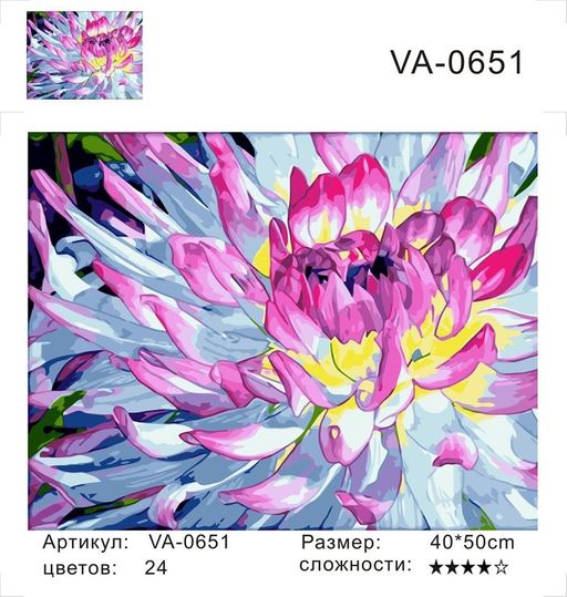 Нежная хризантема - Colibri фото 2