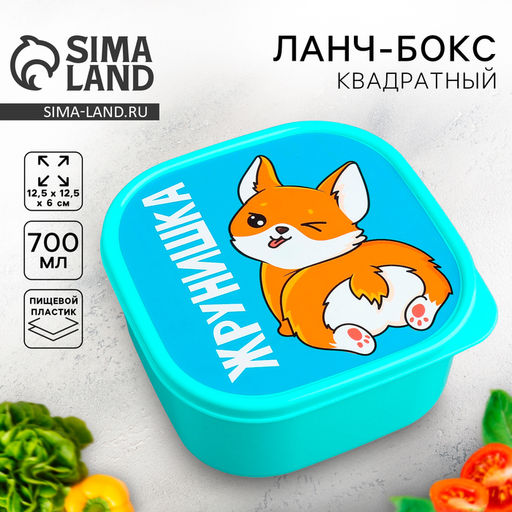 Цена за 2 шт. Ланч - бокс квадратный «Жрунишка», 700 мл