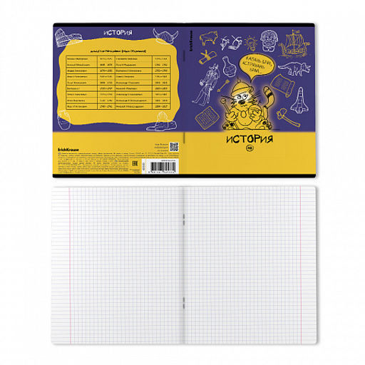 Цена за 5 шт. Тетрадь общая ученическая с пластиковой обложкой на скобе ErichKrause Котоформулы, История, 48 листов, клетка  фото 2