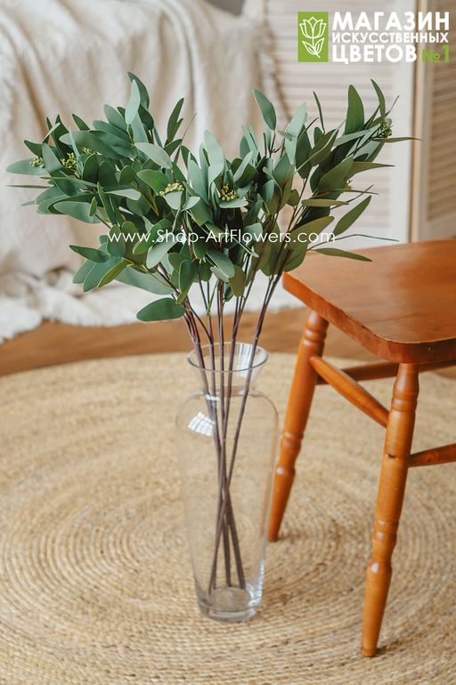 087 Эвкалипт Николя - Без тм фото 7