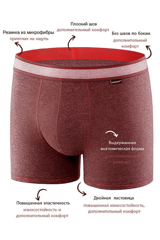 Мужские трусы BB99 Коричневый