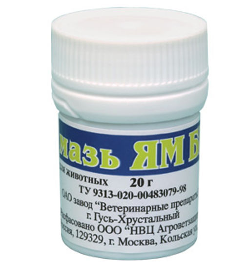 Мазь Ям БК бактерицидно-фунгицидная LB508