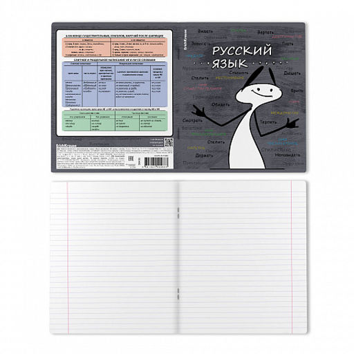 Цена за 5 шт. Тетрадь общая ученическая с пластиковой обложкой на скобе ErichKrause Чубрик, Русский язык, 48 листов, линейка  фото 2