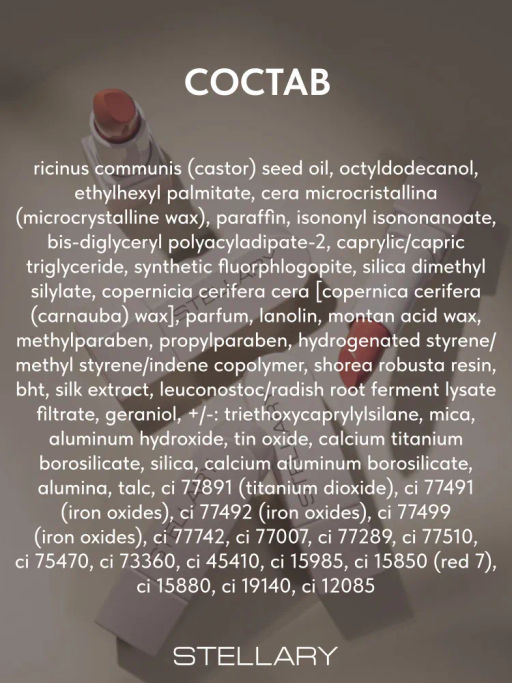 Stellary Помада для губ Устойчивая RICH NUDE тон 22 tropical nude фото 7